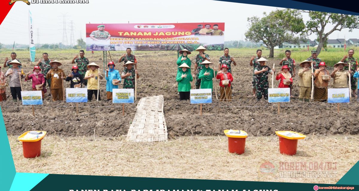 Panen Raya Padi Idaman dan Tanam Jagung dalam Rangka Program Ketahanan Pangan di Wilayah Korem 084/Bhaskara Jaya